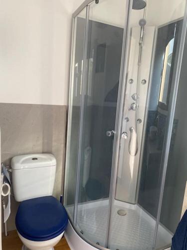 a bathroom with a toilet and a glass shower at Le Chalet Pignantais in Pignans