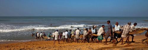 a group of people walking on the beach at Marigold Negombo in Negombo
