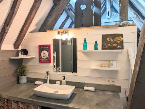 une salle de bain avec un lavabo et un miroir dans l'établissement La bi-coque du Courtgain, charmante et atypique, à Saint-Valery-sur-Somme