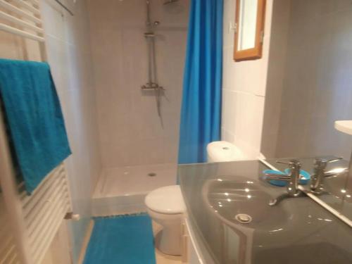uma casa de banho com um lavatório, um WC e uma cortina de chuveiro azul. em La petite Palasse em Le Thor