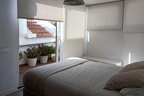 Salitre Málaga Center