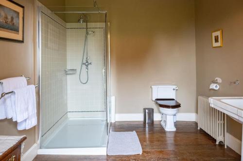 a bathroom with a shower and a toilet and a sink at Kilfane Glebe House in Thomastown