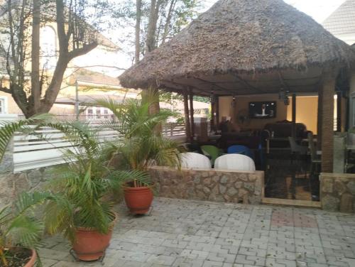 a gazebo with potted plants on a patio at Dazzle Hotels and Apartments Riverpark in Rubuchi