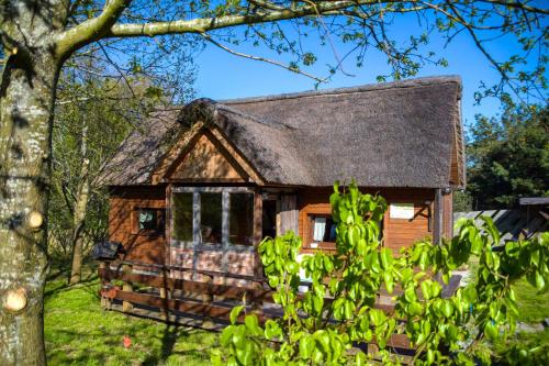 a log cabin in a field with a tree at Ptasia Osada in Gardna Wielka