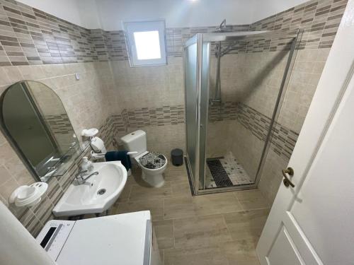 a bathroom with a shower and a sink and a toilet at R.M Apartament in Lugoj