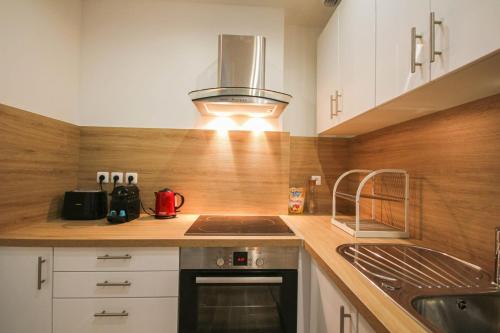 une cuisine avec un évier et une cuisinière four supérieur dans l'établissement Lille Centre - Nice, cozy and functional ap., à Lille