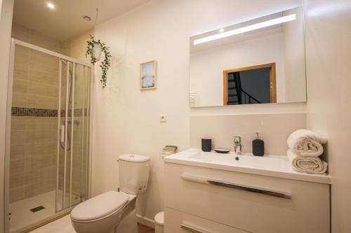 ein Bad mit einem WC, einem Waschbecken und einer Dusche in der Unterkunft Lille Centre - Nice, cozy and functional ap. in Lille
