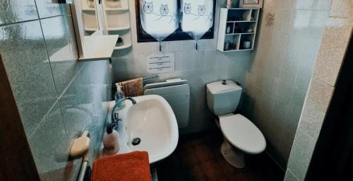 La petite salle de bains est pourvue d'un lavabo et de toilettes. dans l'établissement Le Nopal Bleu, à Tarascon-sur-Ariège