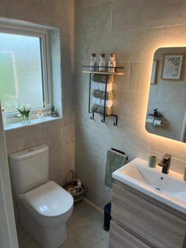 a bathroom with a toilet and a sink and a window at The Starlings Country House in Wexford