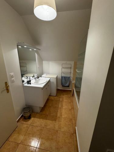 a bathroom with a sink and a mirror at Le studio du 72 in Bussy-Saint-Georges