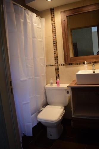 uma casa de banho com um WC branco e um lavatório. em Duplex Jacaranda I em Ciudad Evita