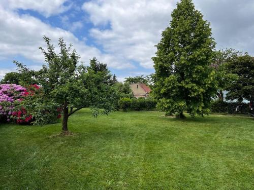 two trees in a grassy yard with a house at Idyllisches Gartenhaus 