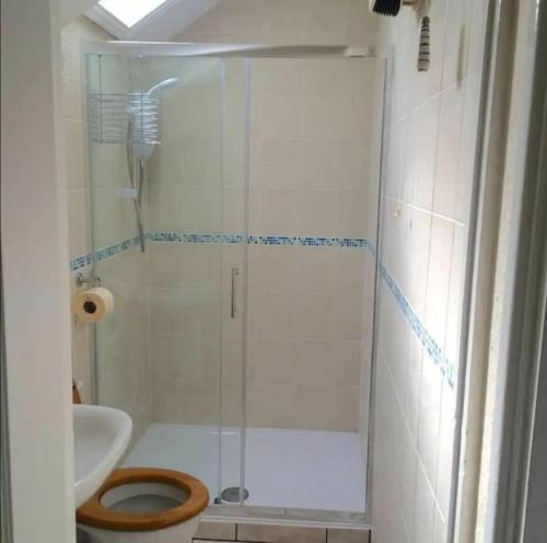 a bathroom with a shower with a toilet and a sink at Cosy 2 Bedroom Apartment near Seafront in Penzance