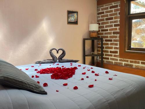 una cama con rosas rojas y corazones y dos cisnes en Hostal Casa 4 Estaciones, CoLiving & Nature en San Cristóbal de Las Casas