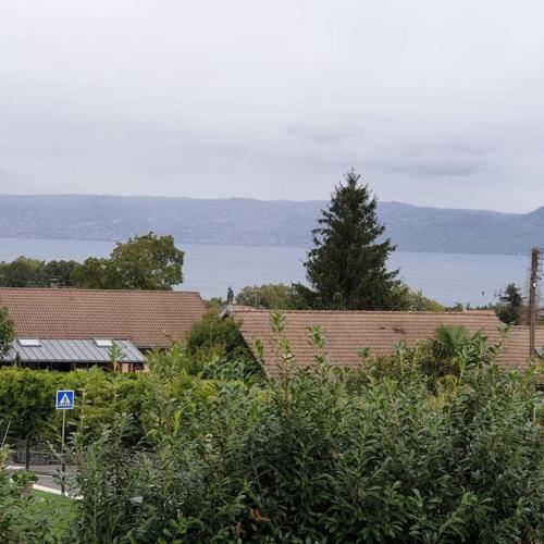 Φυσικό τοπίο κοντά σε αυτό το διαμέρισμα
