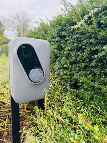 a traffic light in front of a bush at de Familieboerderij in Losser