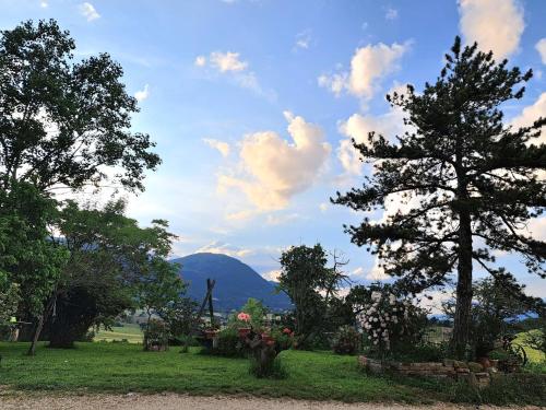 Blick auf ein Feld mit Bäumen und einem Berg in der Unterkunft Agriturismo Il Raggio di sole di Orpello in Camerino
