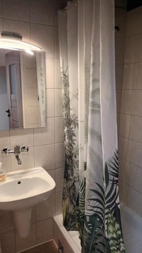 a bathroom with a sink and a shower curtain at Pensjonacik Ewa in Darłowo