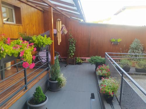 a balcony with potted plants on the side of a building at Apartmány v centru in Havlickuv Brod