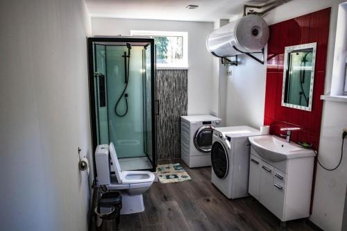 a bathroom with a shower and a toilet and a sink at Duni in Kalvāni