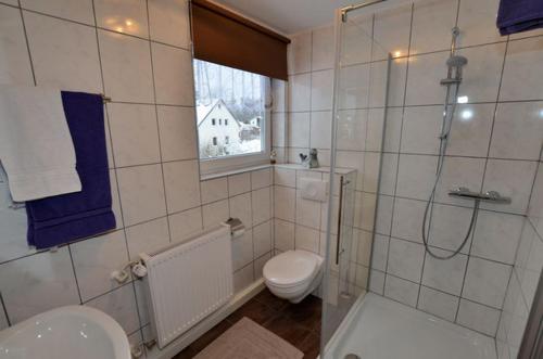 a bathroom with a shower and a toilet and a sink at Haus Rosenbühl in Warmensteinach