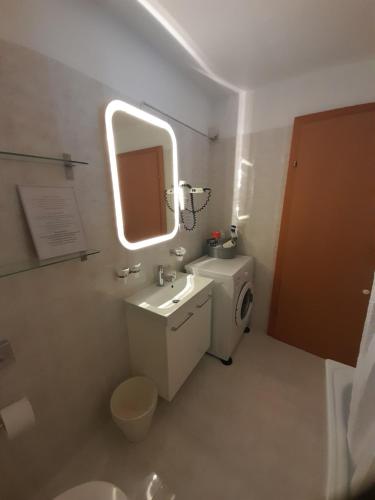 Roveredo的住宿－塞克與艾薇塔公寓，一间带水槽、卫生间和镜子的浴室