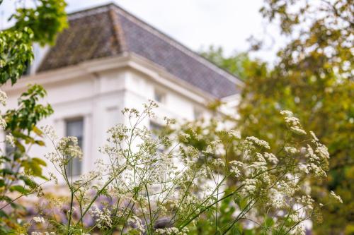 een wit huis met een dak en enkele bomen bij Buitenplaats Iepenoord in Oostkapelle