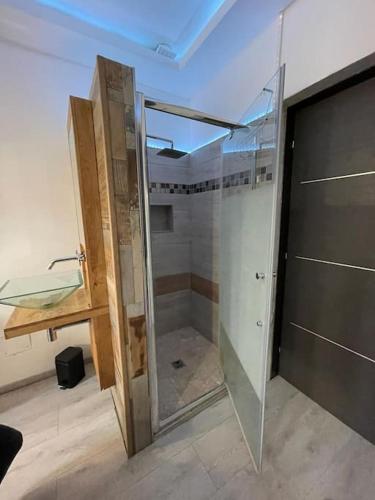 La salle de bains est pourvue d'une douche en verre et d'une porte en verre. dans l'établissement Villa Bali de standing, 8 couchages à 5 min d'Arles, à Arles