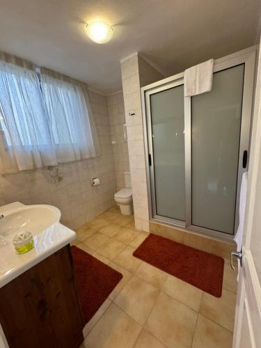 a bathroom with a shower and a sink and a toilet at B&S Accommodation 1940 House of Character in Żejtun