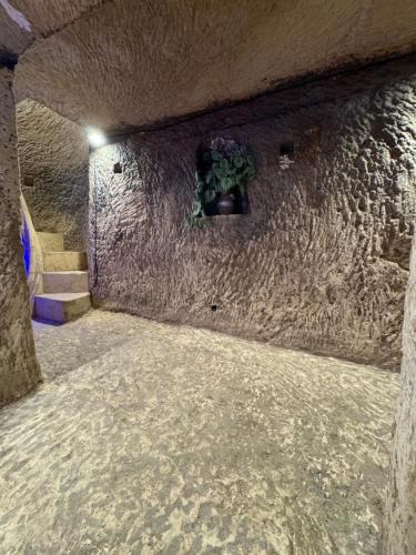 a stone wall with a potted plant on the wall at B&S Accommodation 1940 House of Character Żejtun, Malta in Żejtun