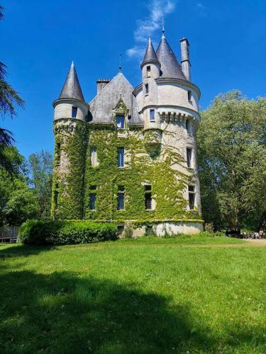 an old castle sitting on top of a grass field at Demeure de 7 chambres avec piscine privee terrasse et wifi a Mosnay in Mosnay