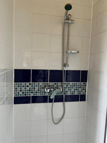 een badkamer met een douche met blauwe en witte tegels bij CHARMANT LOGEMENT ENTIER A LA CAMPAGNE in Sencenac-Puy-de-Fourches
