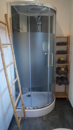 une douche avec une porte vitrée dans une salle de bain dans l'établissement Agréable chalet à Gujan-Mestras, à Gujan-Mestras