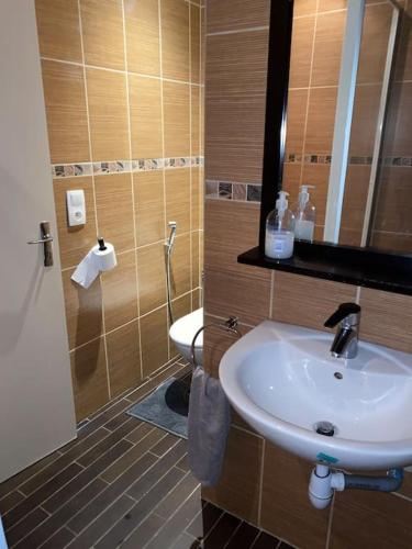 une salle de bain avec un lavabo, des toilettes et un miroir dans l'établissement from Geneva,Big House,7 bedrooms, à Archamps