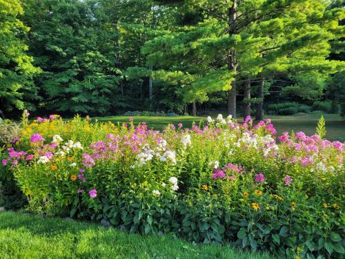 a garden with colorful flowers in a park at Black Pine Tree House in Acton