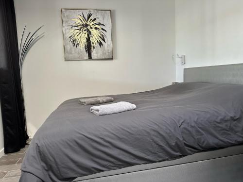 une chambre avec un lit avec deux serviettes dessus dans l'établissement Village naturiste - Villa Port-Nature 1 - Le Tantra, au Cap d'Agde