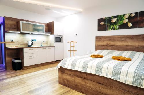 Kuchyň nebo kuchyňský kout v ubytování Lanškroun apartmány v centru
