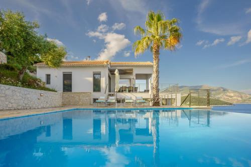 a villa with a palm tree and a swimming pool at Villa Lefkas - Luxury villa Sivota with direct sea access in Sivota