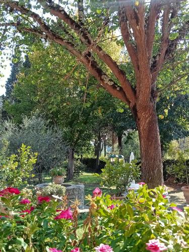 Un jardín fuera de Podere di Sotto