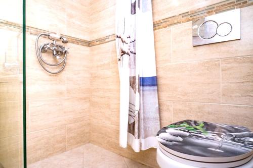 uma casa de banho com um chuveiro e um WC. em 3 bedrooms house with private pool terrace and wifi at Lokva Rogoznica em Lokva Rogoznica