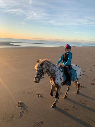 a woman riding a horse on the beach at Bryn Y Bwyd Farm House in Barmouth
