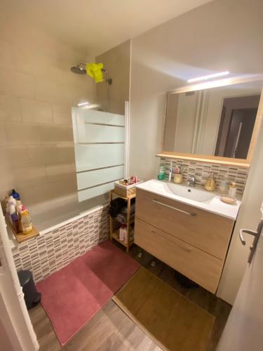 uma casa de banho com um lavatório e um espelho em The Place to Be em Le Blanc-Mesnil