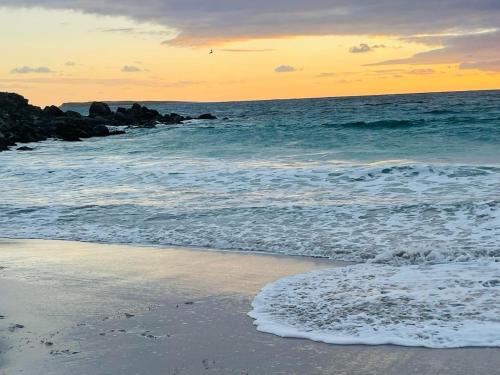 a beach with the ocean and the shoreline at French ocean view, beach and pool in Cul de Sac