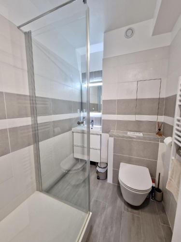 une salle de bain avec une douche, des toilettes et un lavabo dans l'établissement Rez-de-jardin bord de mer, à Cabourg