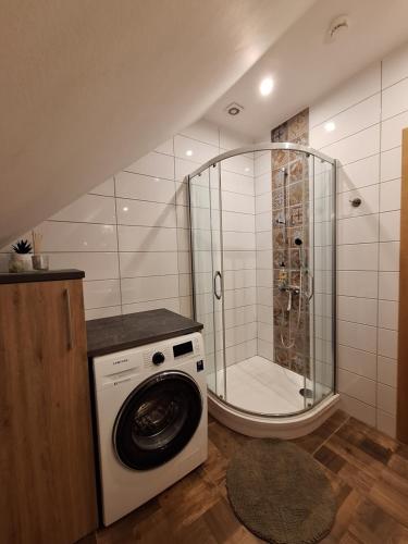 een wasmachine in een badkamer met een douche bij Viesu nams ADLERI in Saldus