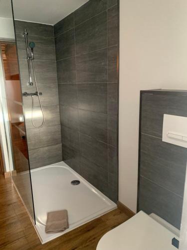 een douche met een glazen deur in de badkamer bij Le Cantou in Castelnau-de-Mandailles