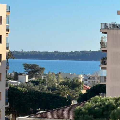 Cannes vue mer