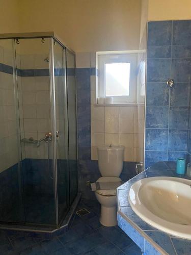a bathroom with a shower and a toilet and a sink at Kioni Villas in Frangokastello