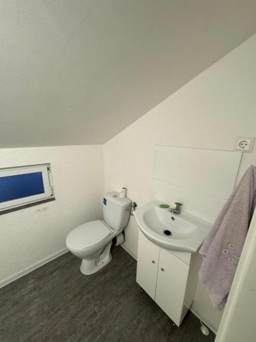 a white bathroom with a toilet and a sink at Kuscheliges Einfamilienhaus in Lingenfeld