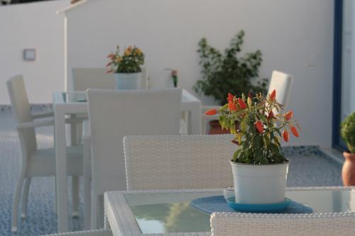 un tavolo con una pianta in vaso sopra di esso di Bouganville Studios Stegna a Archangelos